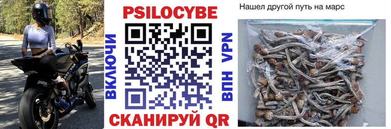 наркота  Реж  Галлюциногенные грибы GOLDEN TEACHER 
