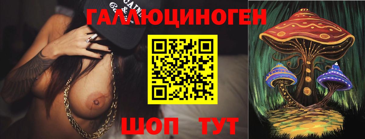 Псилоцибиновые грибы Psilocybine cubensis  Вход с VPN  Псилоцибиновые грибы Psilocybine cubensis  Реж 